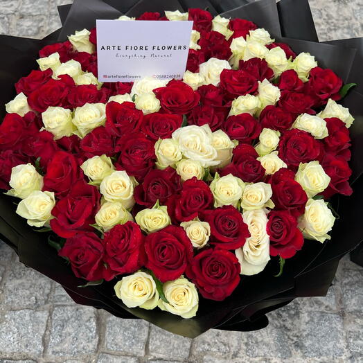 120Red and white best premium rose