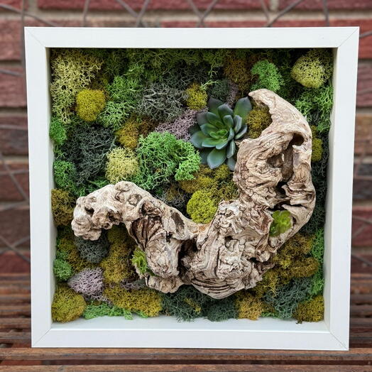 Grapevine Art Frame