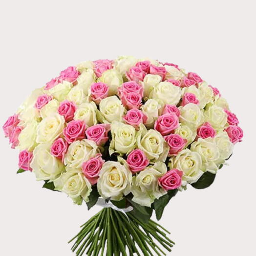 100 Pink   White Roses