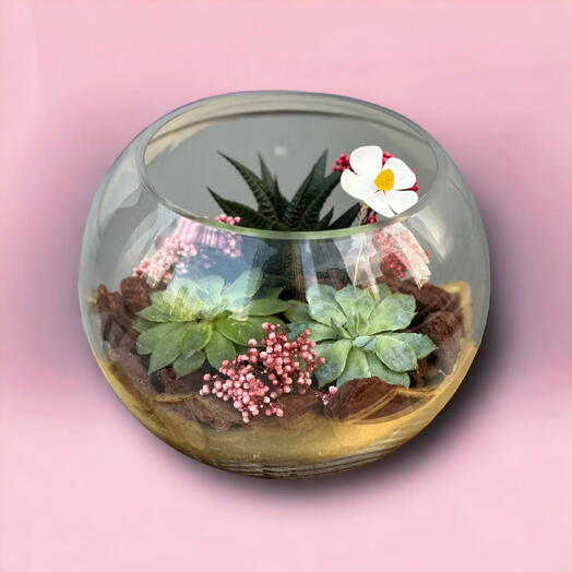 Terrarium