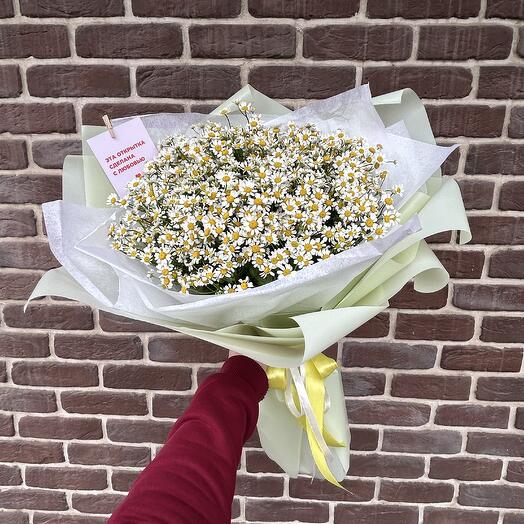 Букет из ромашки Матрикария