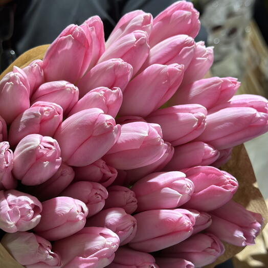 50 pink tulips