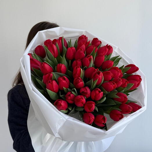 Red tulips 50 stems