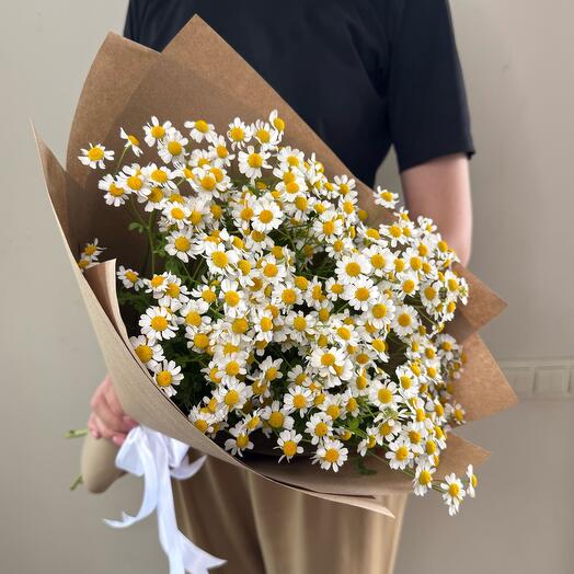 Танацетум в крафте