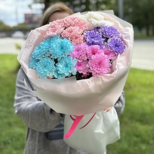 Яркая разноцветная хризантема