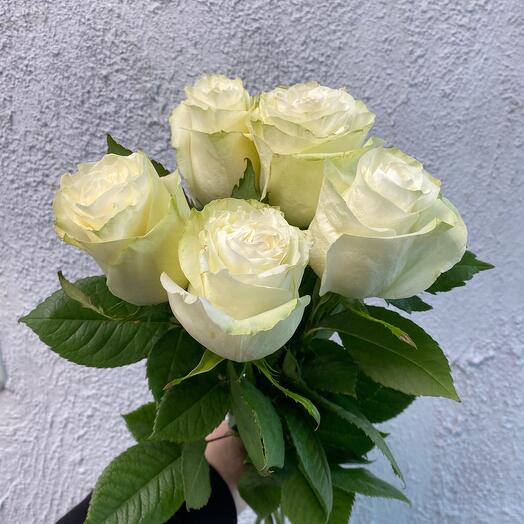 Флорал китчен 