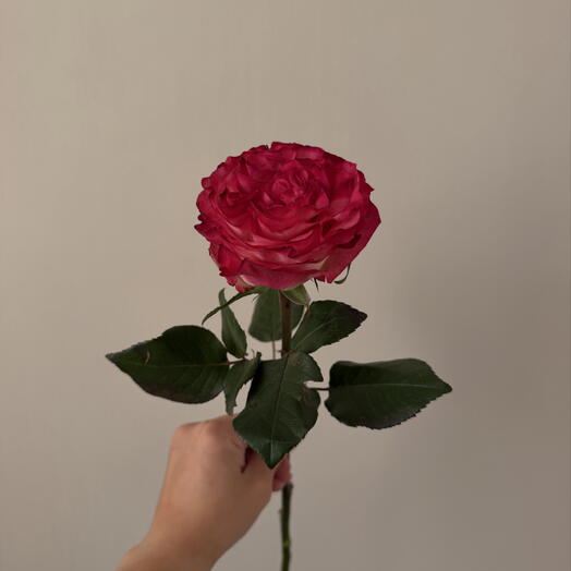 17flowers