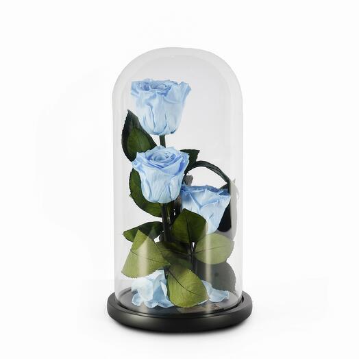 Light Blue Preserved Roses in a Glass Dome Trio