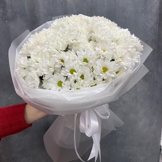 Нежное облако хризантем