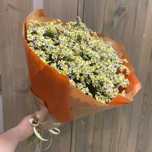 Букет ромашек "Летний день"