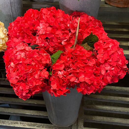 Hortensia red 4 flowers