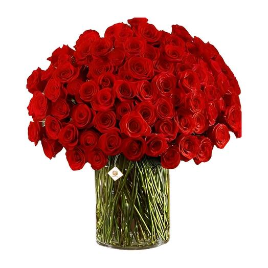 Blossom - 100 Red Roses in Vase