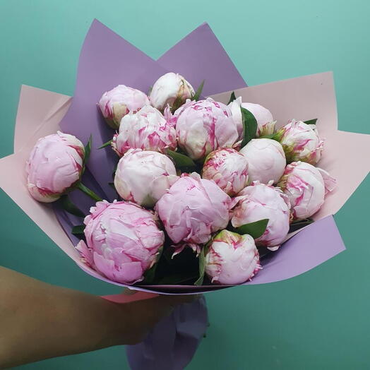 15 Pink peonies  With Wrapping
