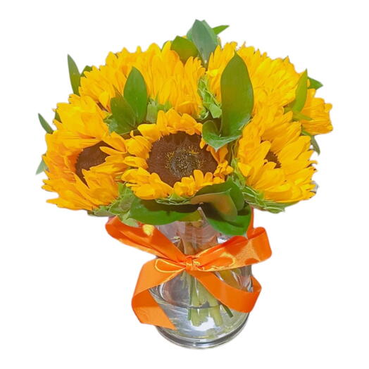 Showy Sunflowers