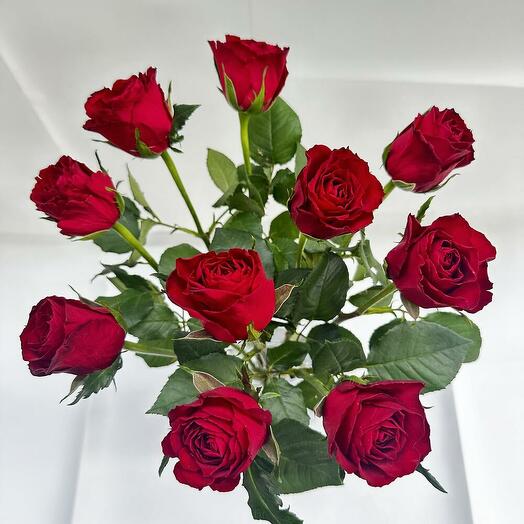 Red Roses Bunch