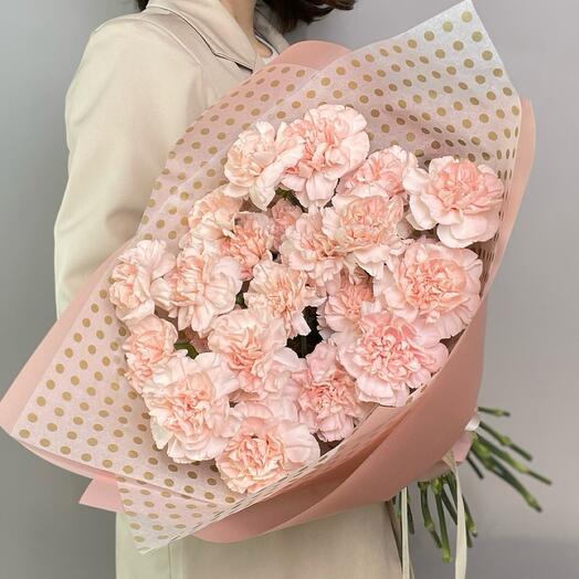 Monobucket of 21 pink carnations in a package