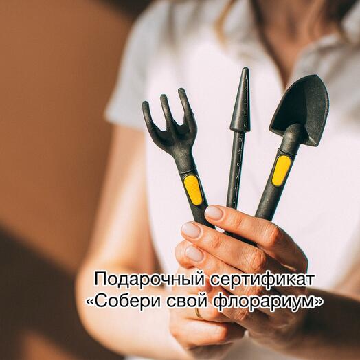 Подарочный сертификат на создание флорариума подарок на день рождения