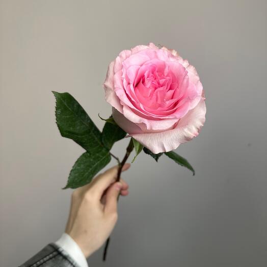 One flowers