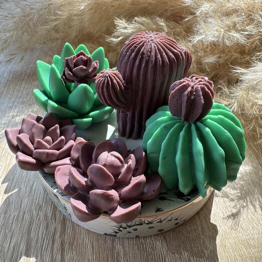 Мыло «суккуленты» ручной работы в подарочной упаковке