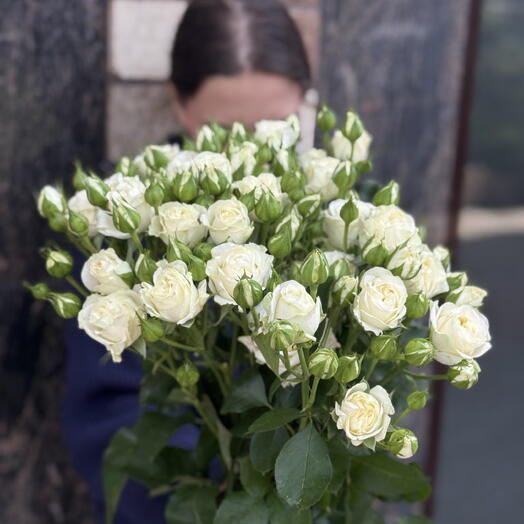 orxideya_rostov