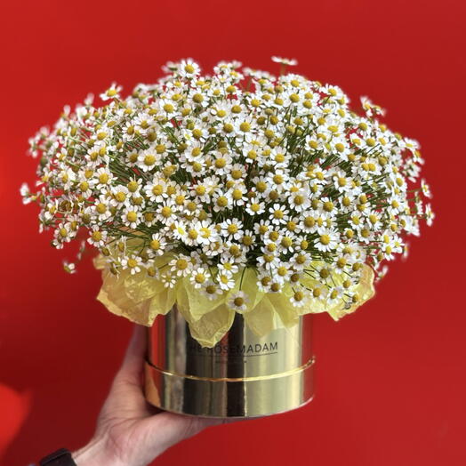 ArtFlora