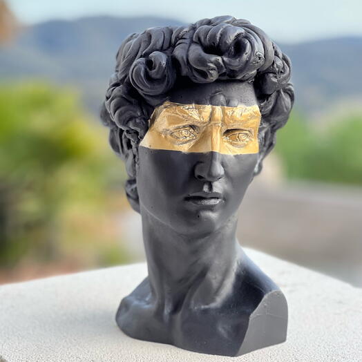 Maceta busto de David