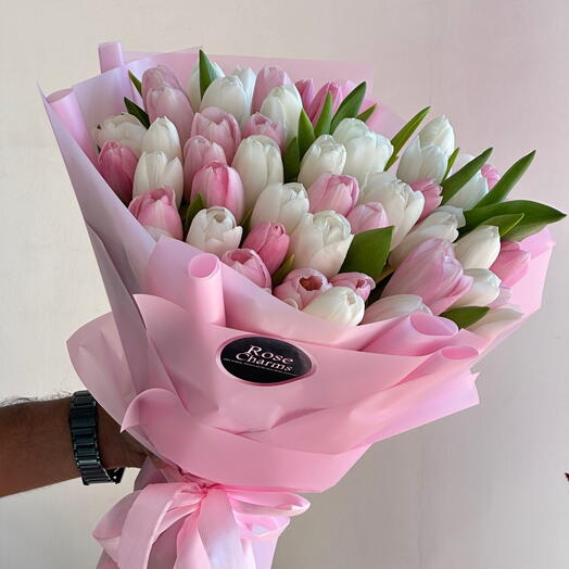 Pink and White Tulip Love