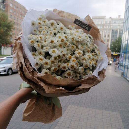 Ромашки