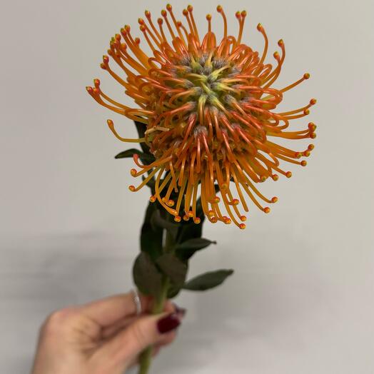 Flower Fetish