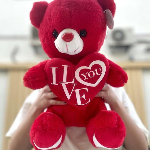 Teddy bear red