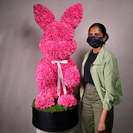 Big Pink Rabbit - Pink Spray Roses-6100