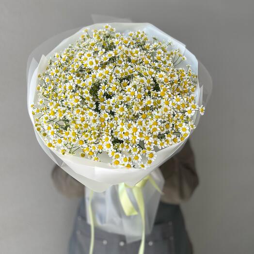 A bouquet of 25 bush daisies in a stylish package