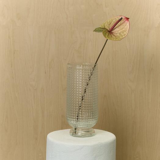 nebo flowers