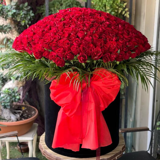 Love love love 300 Red Rose Box