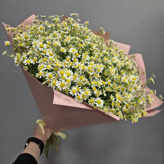 Букет ромашек 35 шт