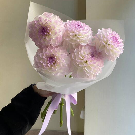FLORELYA