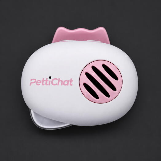 PettiChat