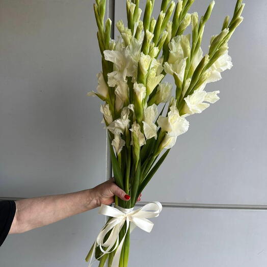 Amazing Flowers