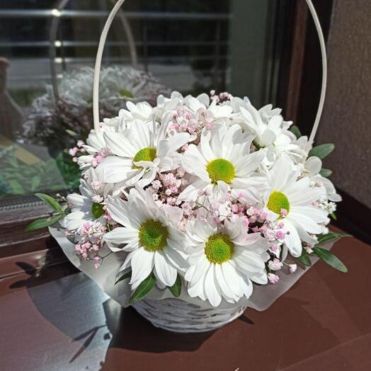 White chrysanthemum in a basket