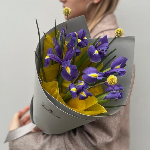 Букет «Milka» (ирисы и краспедия)