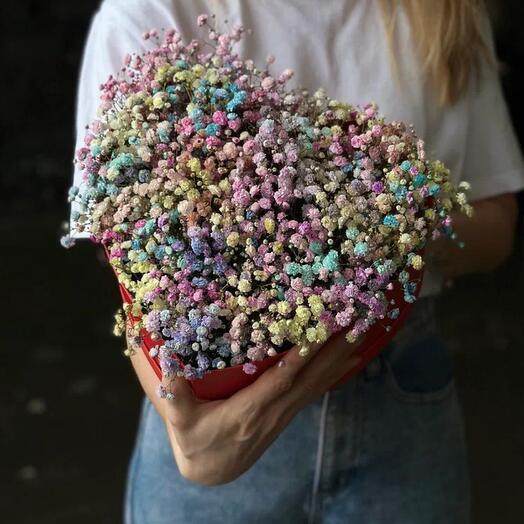 Corazón de gypsophila
