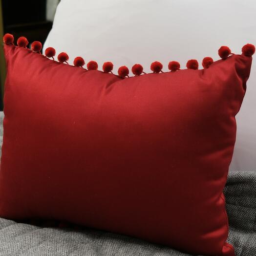 Red Satin Cushion