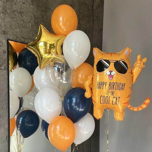 Фонтан из шаров Cool cat