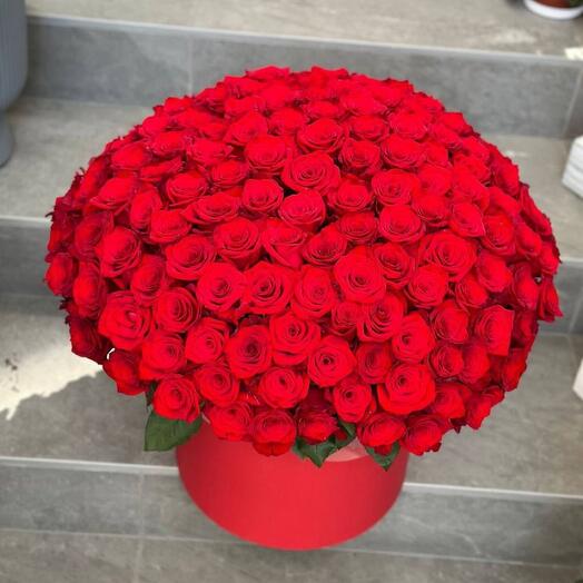 151 Red Rose in box