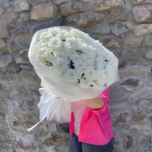 The chrysanthemum is airy