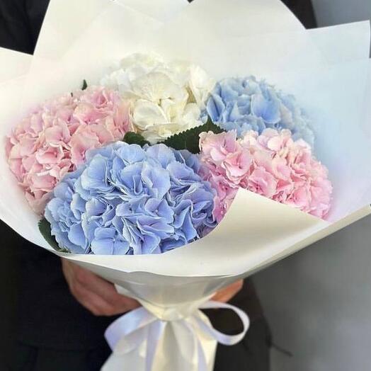 Bouquet of assorted hydrangeas premium