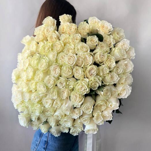 Белые розы 51