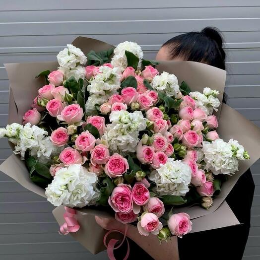 Bloom An