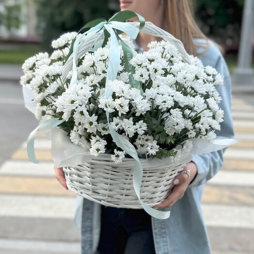 Корзина мелких ромашек (ромашковые хризантемы сантини)