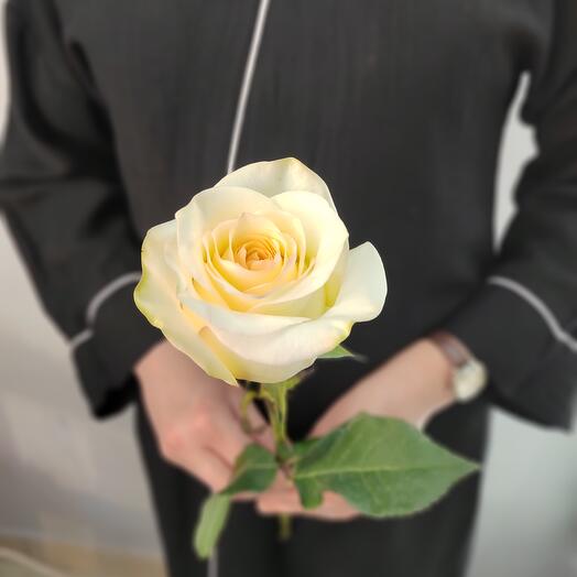 Пионовидная Роза